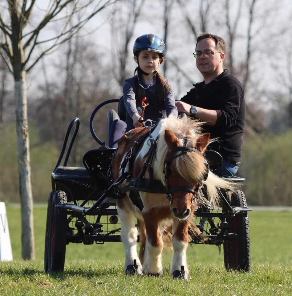 "Ran an die Leinen" - Kinderkutschfahrkurs FA10