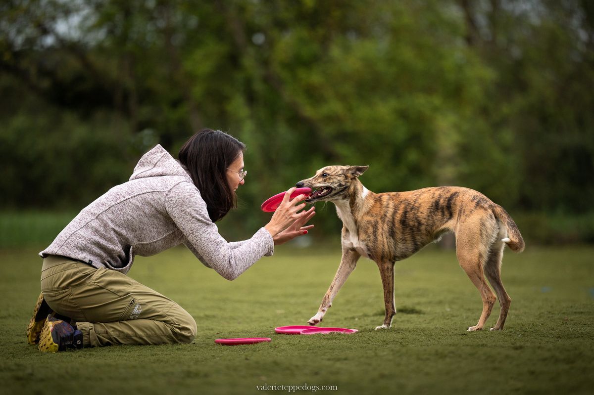 Happy Mind in a Healthy Body: A 4-Day Course on Canine Wellness Camille Nguyen 