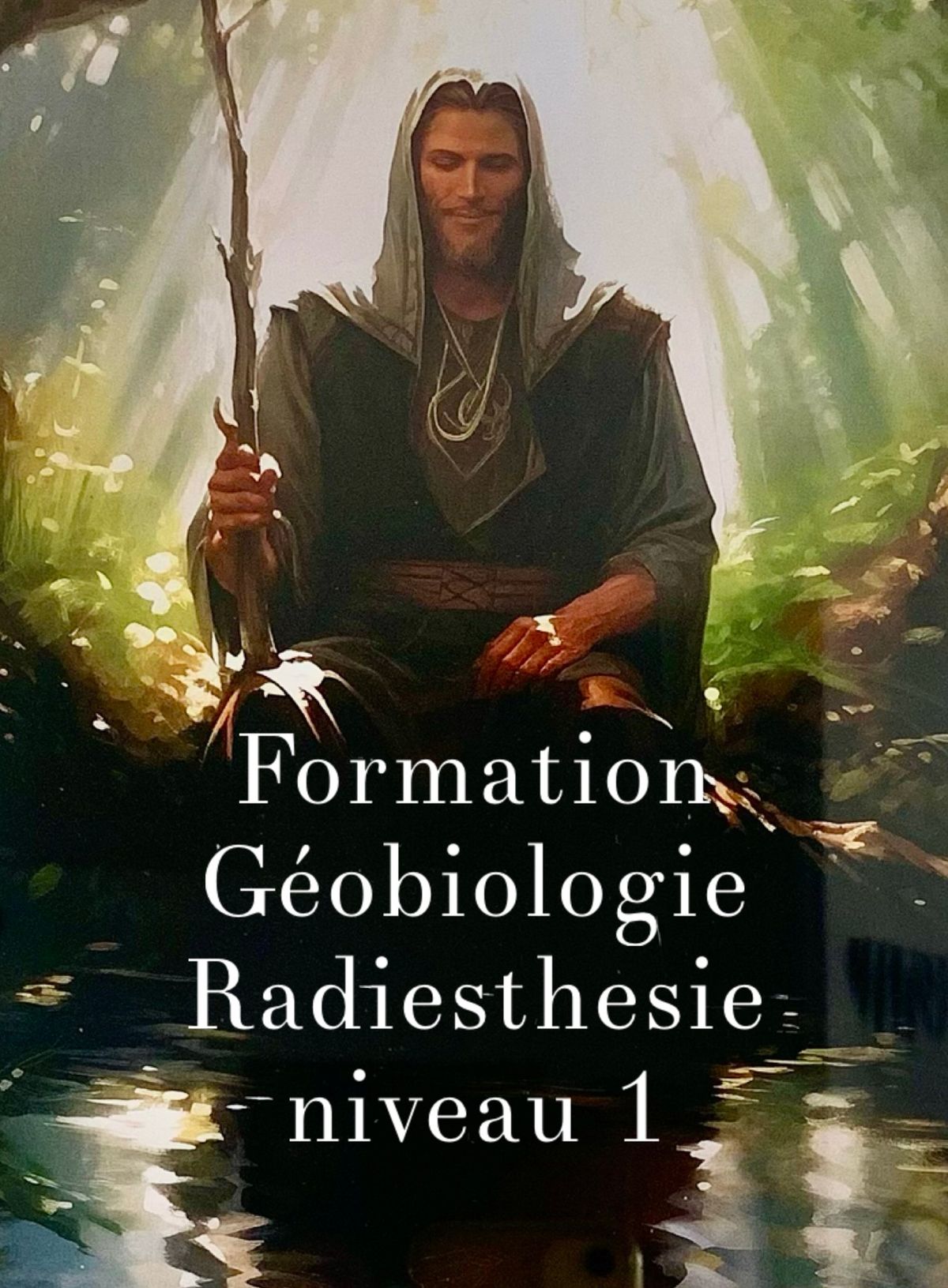 Formation radiesth\u00e9sie et g\u00e9obiologie par Suliac (niveau 1) : harmoniser son lieu de vie.