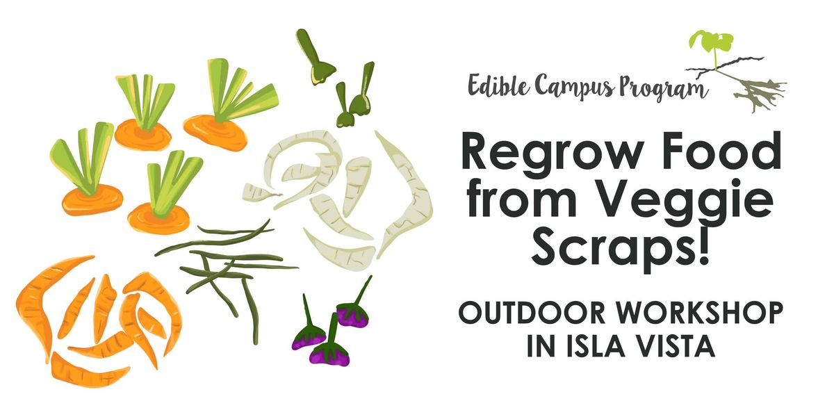 Regrow Food from Veggie Scraps - Workshop!