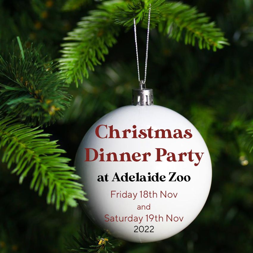 Christmas Dinner Party at Adelaide Zoo