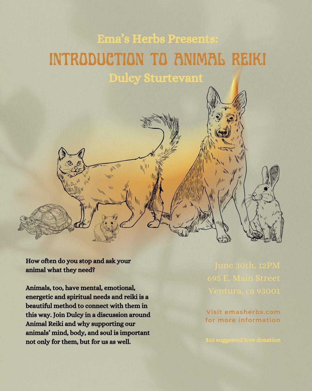 Introduction to Animal Reiki with Dulcy Sturtevant