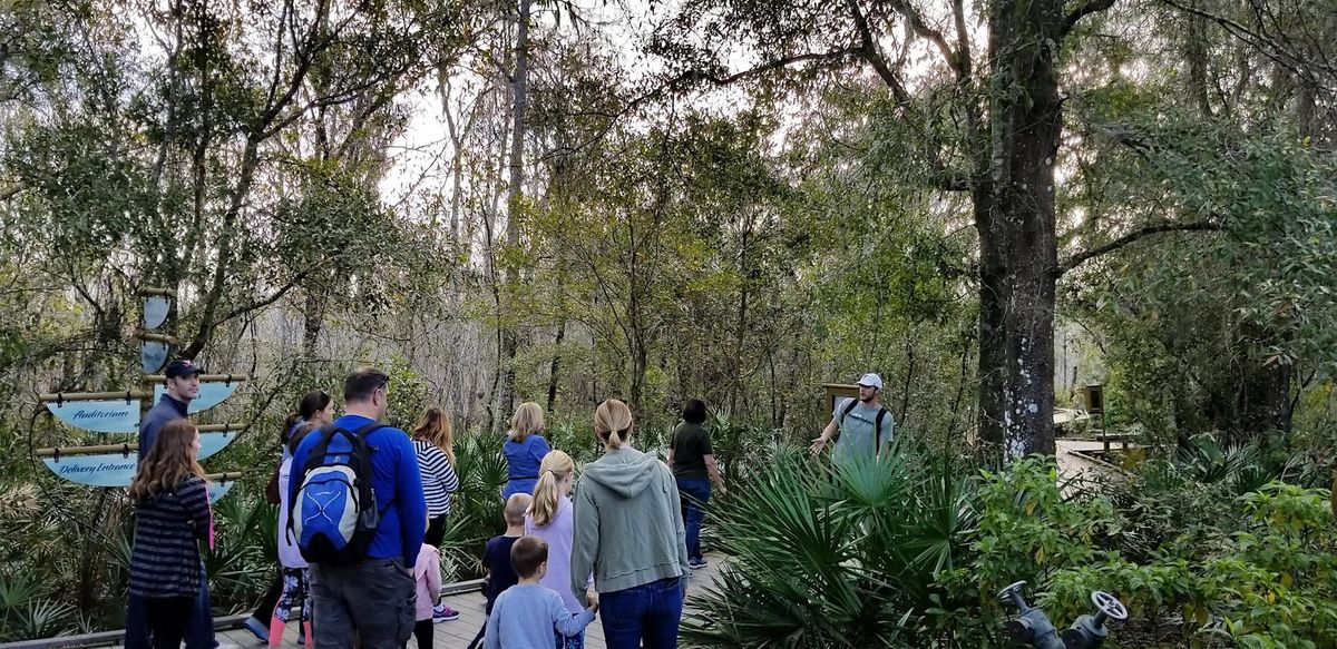 Connect to Nature Guided Walk