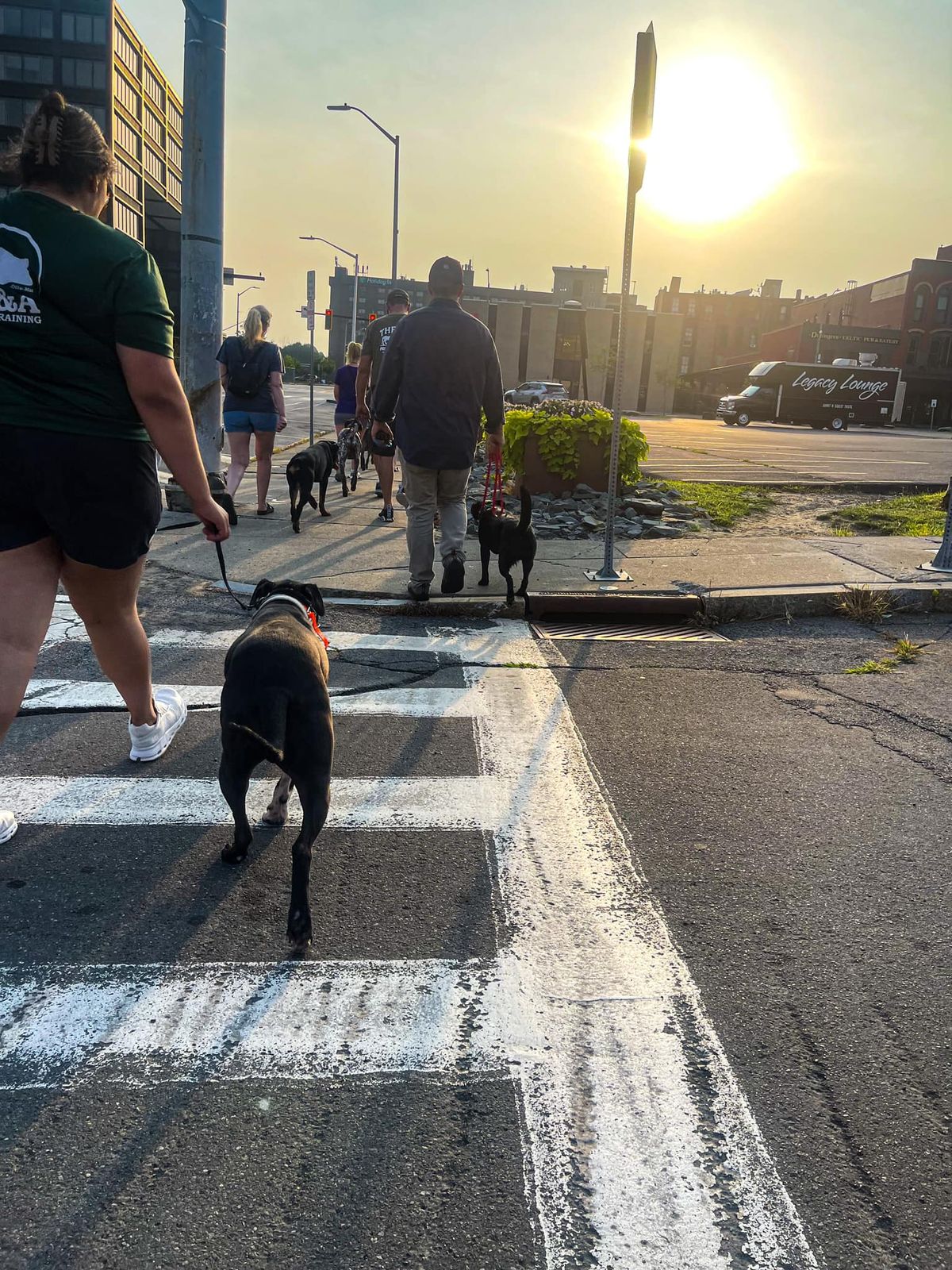 Pack Walk