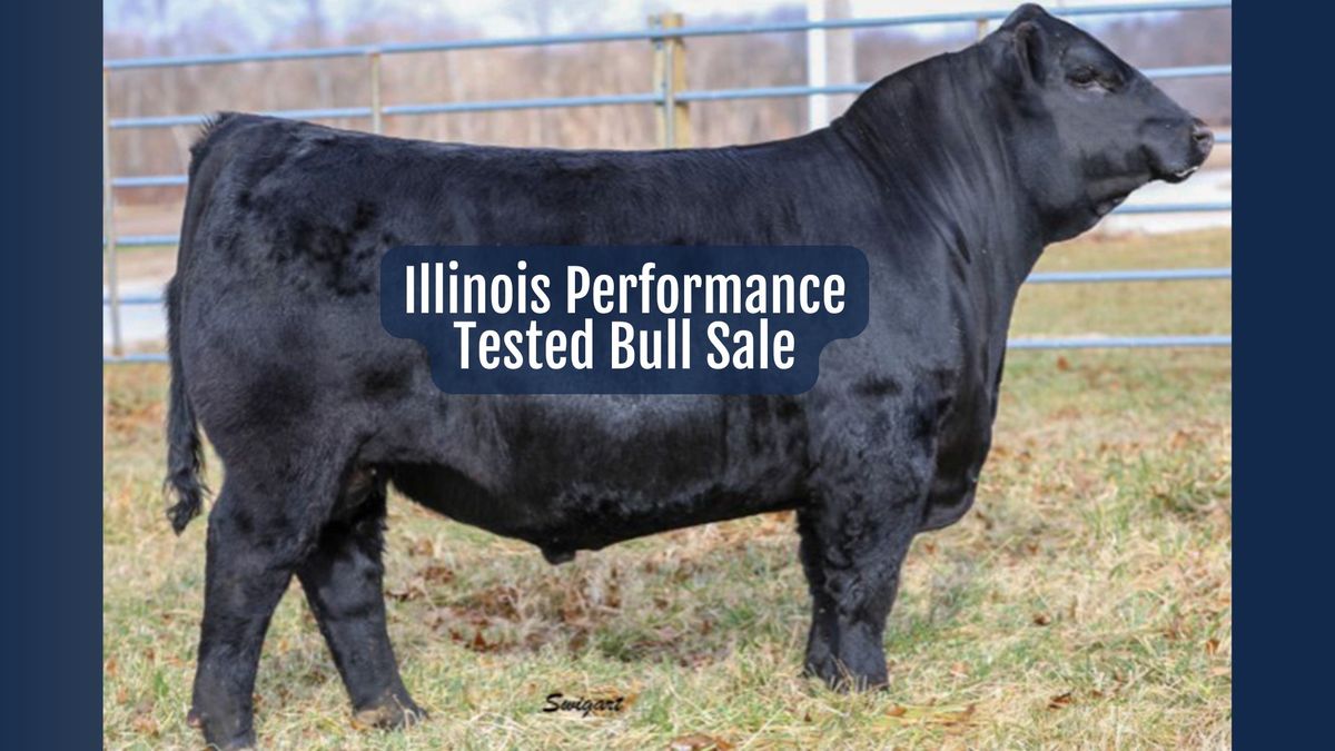 2025 Illinois Performance Bull Sale