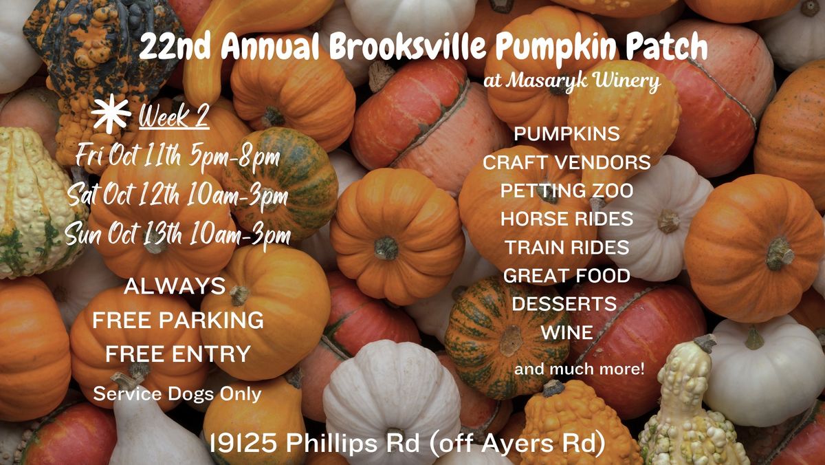 Week 2 - 22nd Annual Brooksville Pumpkin Patch