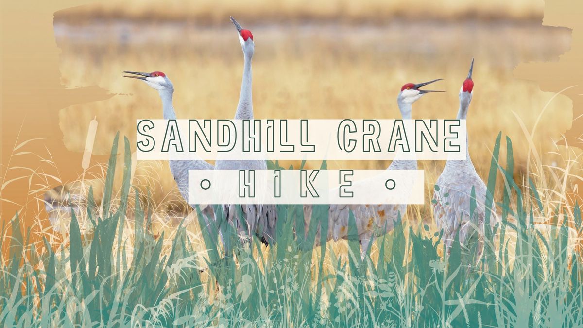 Sandhill Cranes Hike