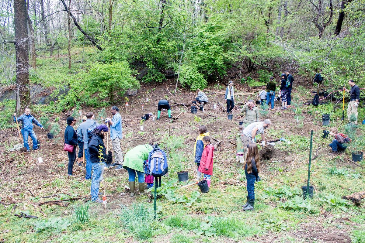 Friends of Inwood Hill Park's 10th Annual Earth Day Festival