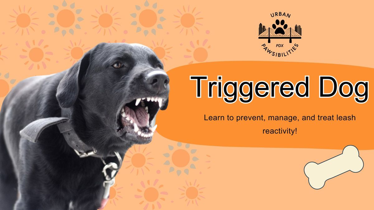 Triggered Dog series starting S 6\/16 at 10 a.m. *no class 7\/7