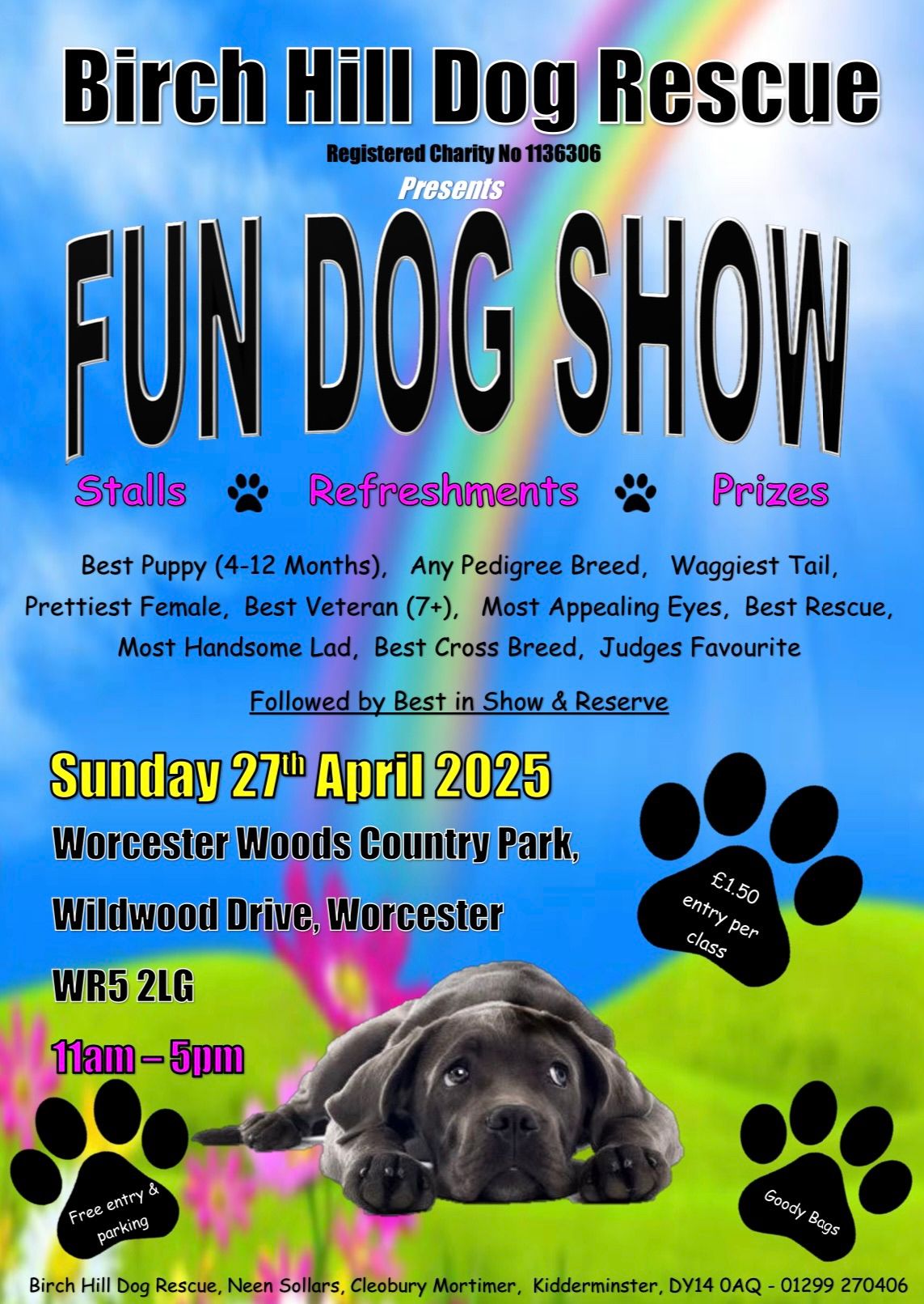 Fun Dog Show \ud83d\udc36