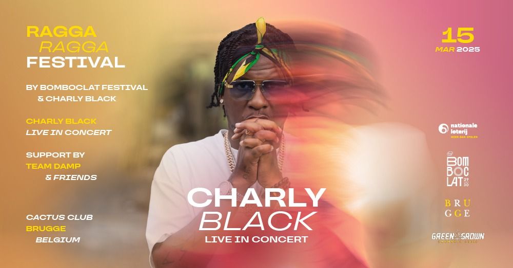 Charly Black (live in concert) - Ragga Ragga Festival