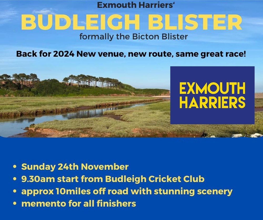 Budleigh Blister