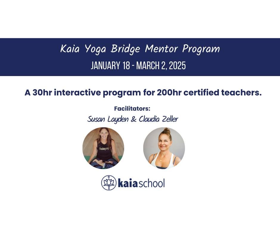 Bridge Mentor Program