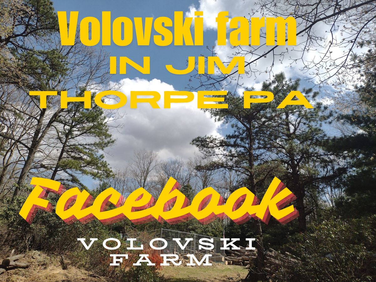 Volovski farm open too