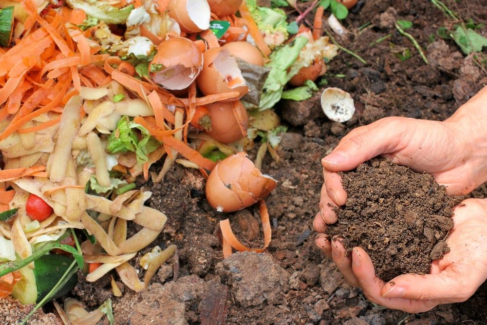 Composting and Worm Farm Workshop