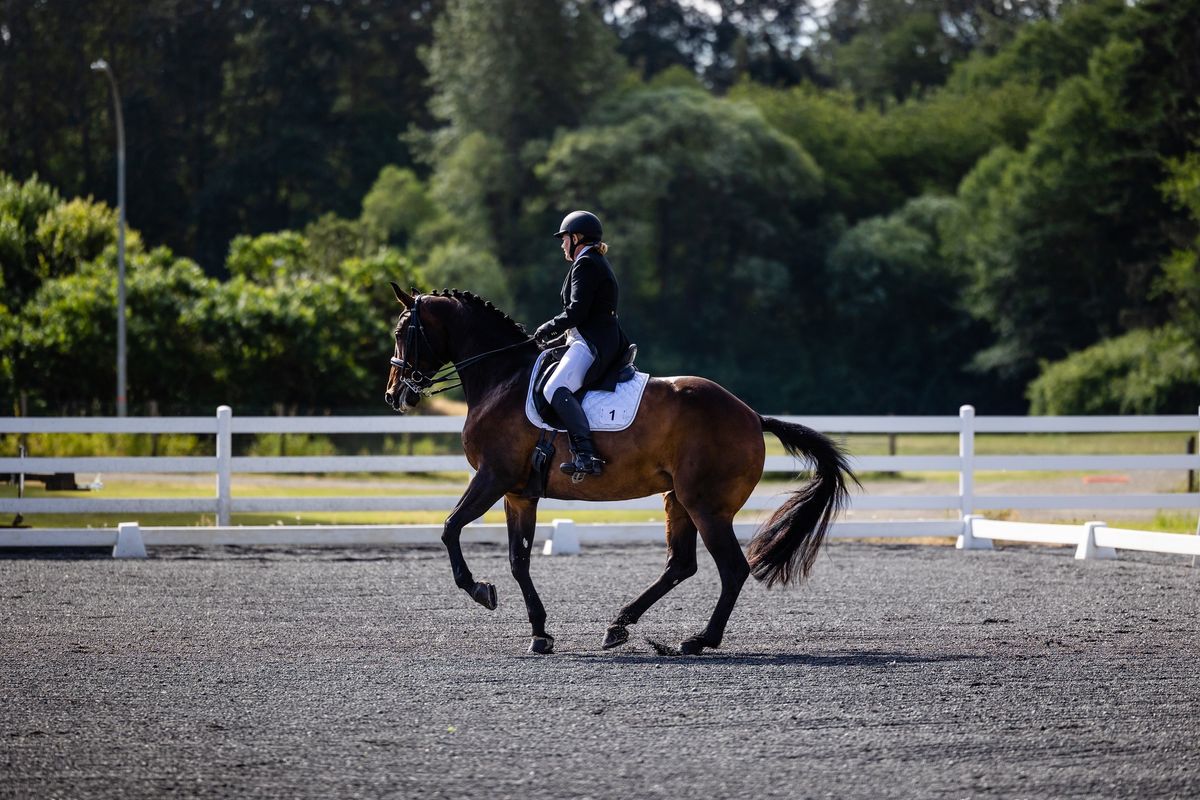 Dressage Show + Rising Star Division 