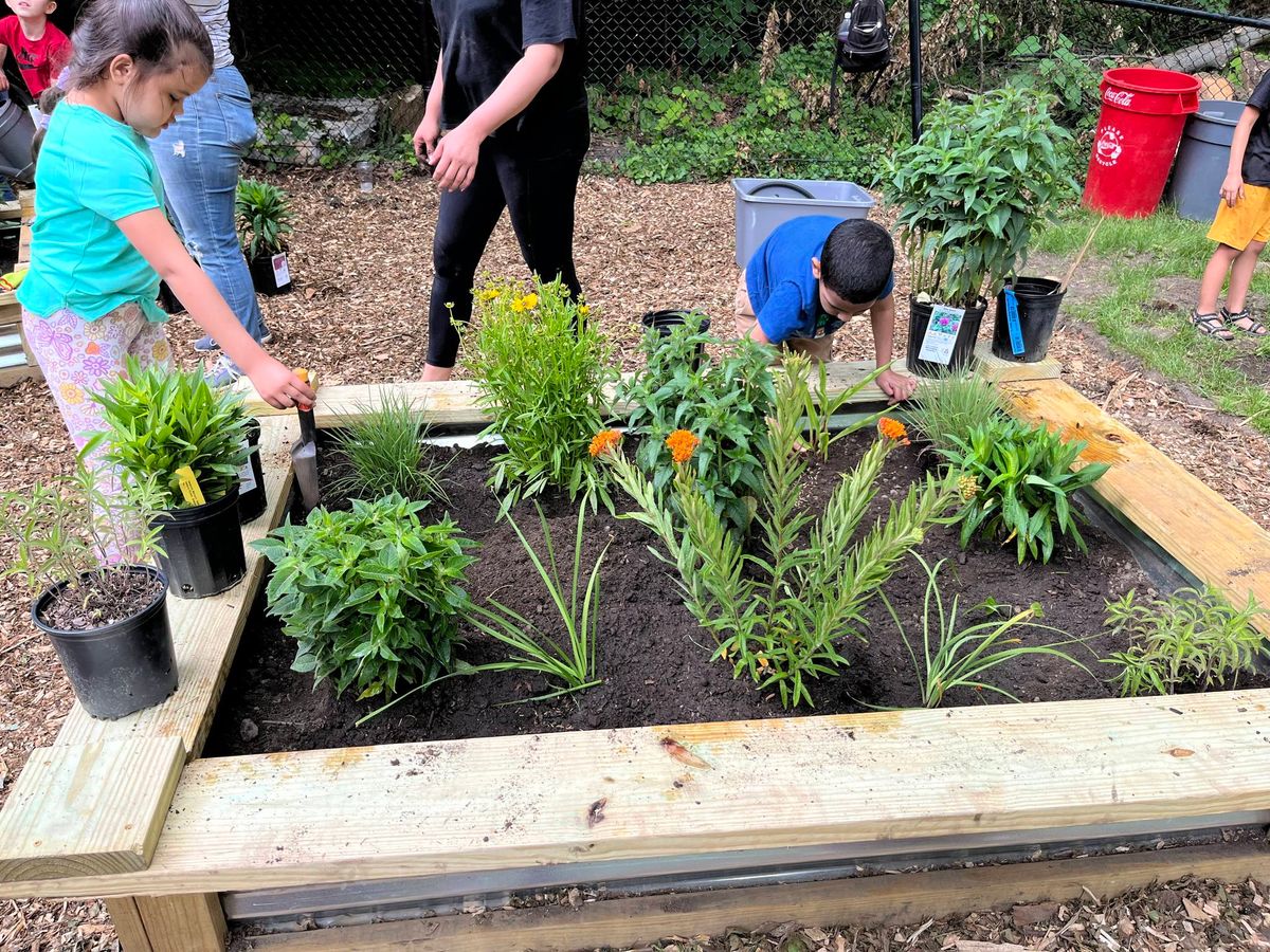 POLLINATOR GARDEN VOLUNTEER DAY