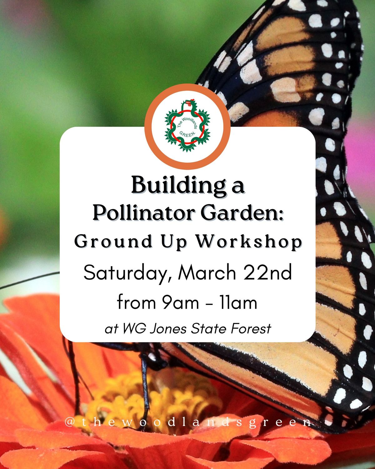 Building a Pollinator Garden: Ground Up Workshop at WG Jones State Forest