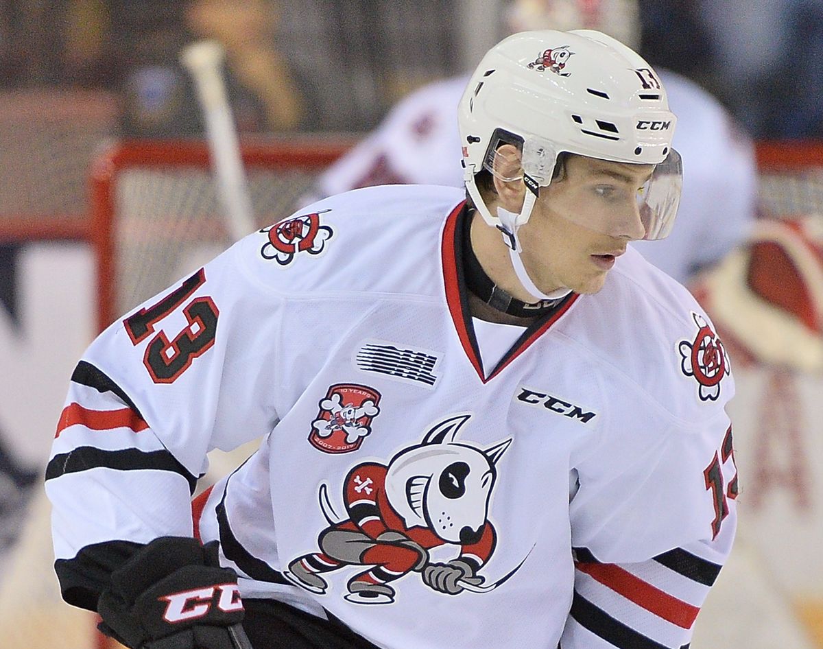 Windsor Spitfires at Niagara IceDogs