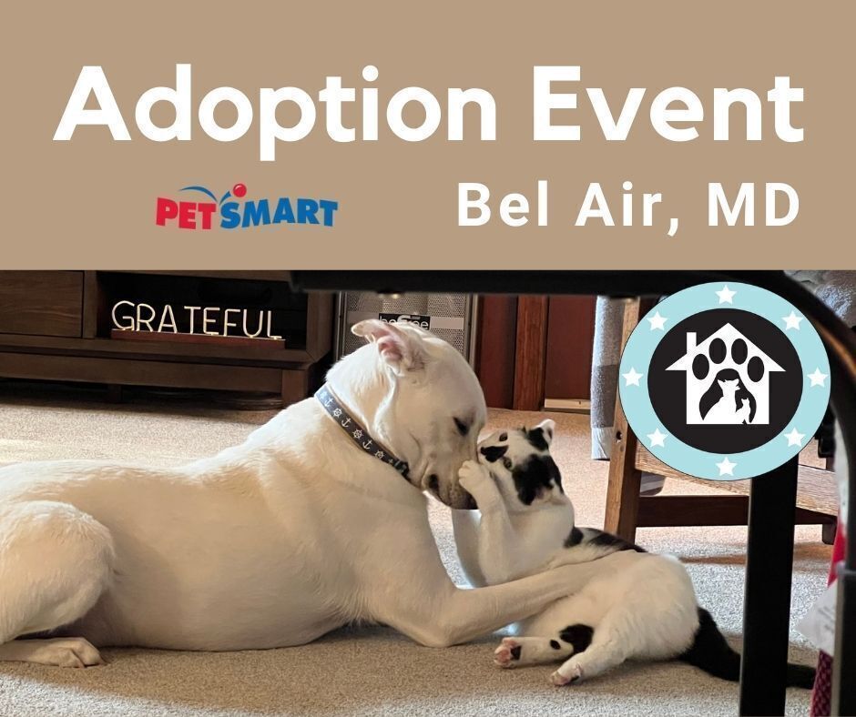 Bel Air, MD - PetSmart Adoption Event