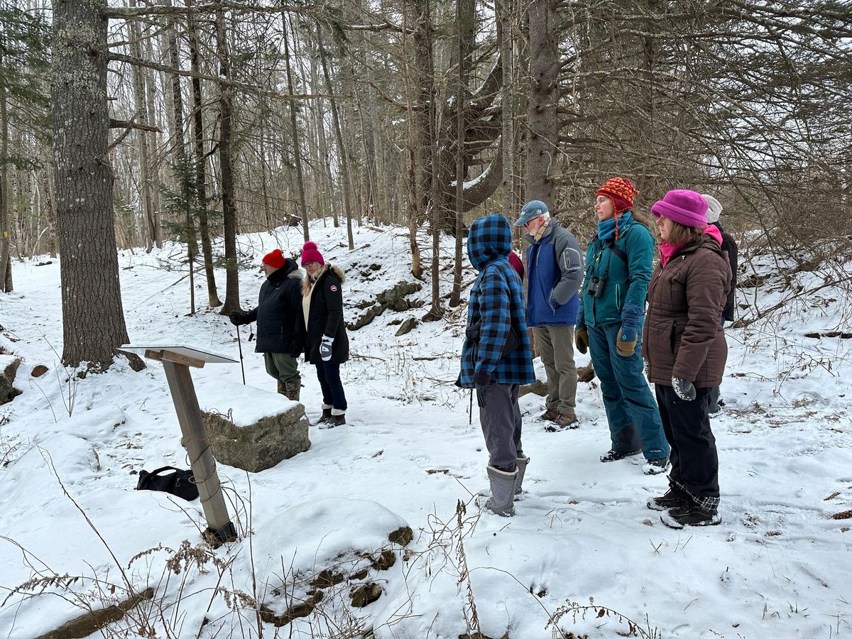 Late Winter Ecology Walk