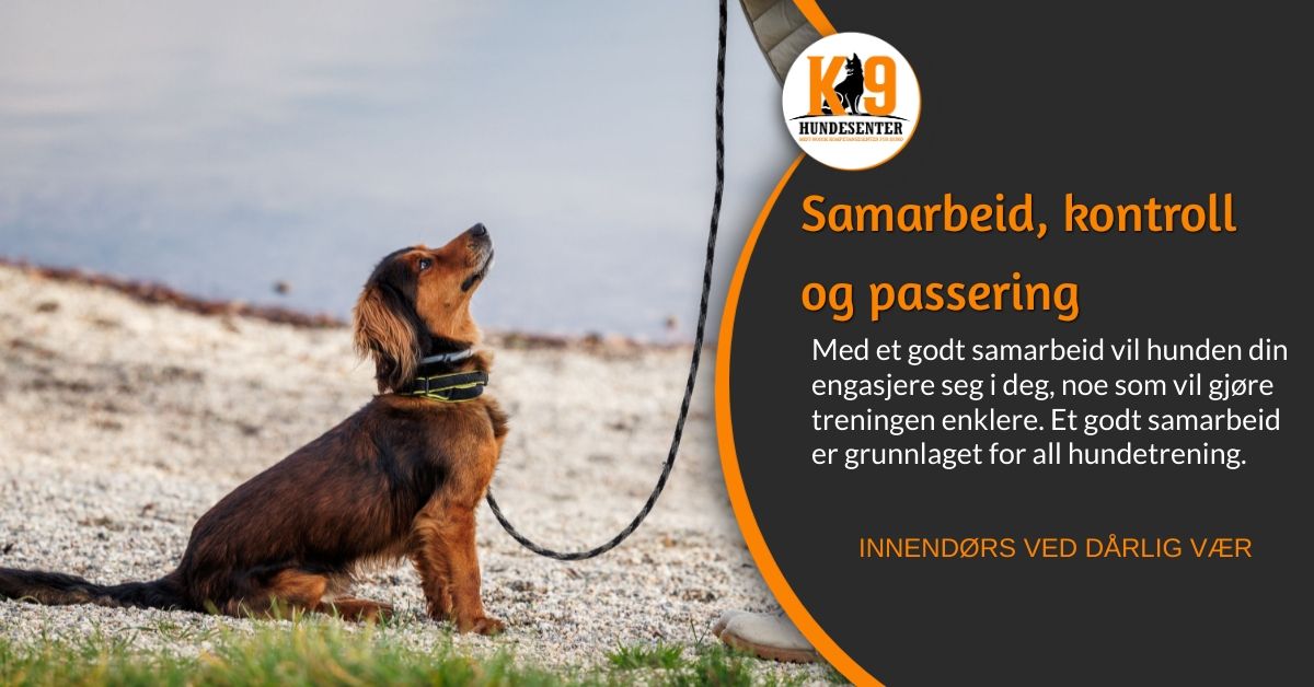 Samarbeid, kontroll og passering