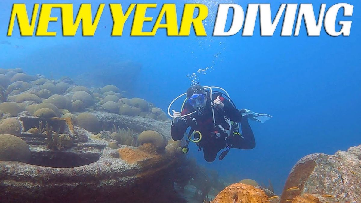 Dive Into The New Year!