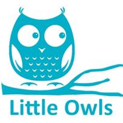 Little Owls Woodland Preschool
