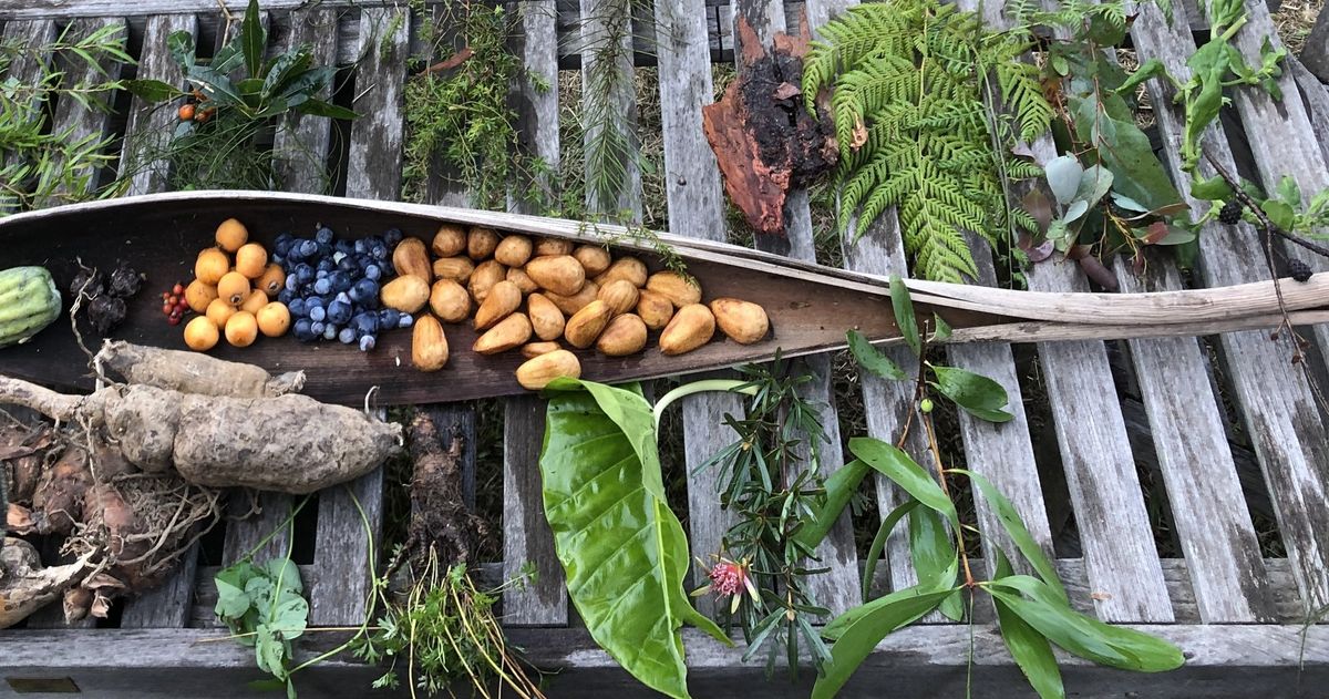 \ud83c\udf3f PCC March Gathering: Safe & Sustainable Foraging with Jake Cassar \ud83c\udf3f