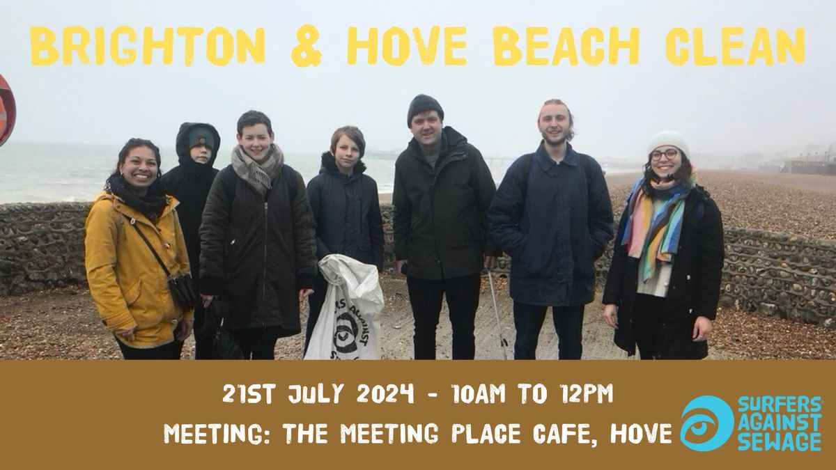 Brighton and Hove SAS beach clean