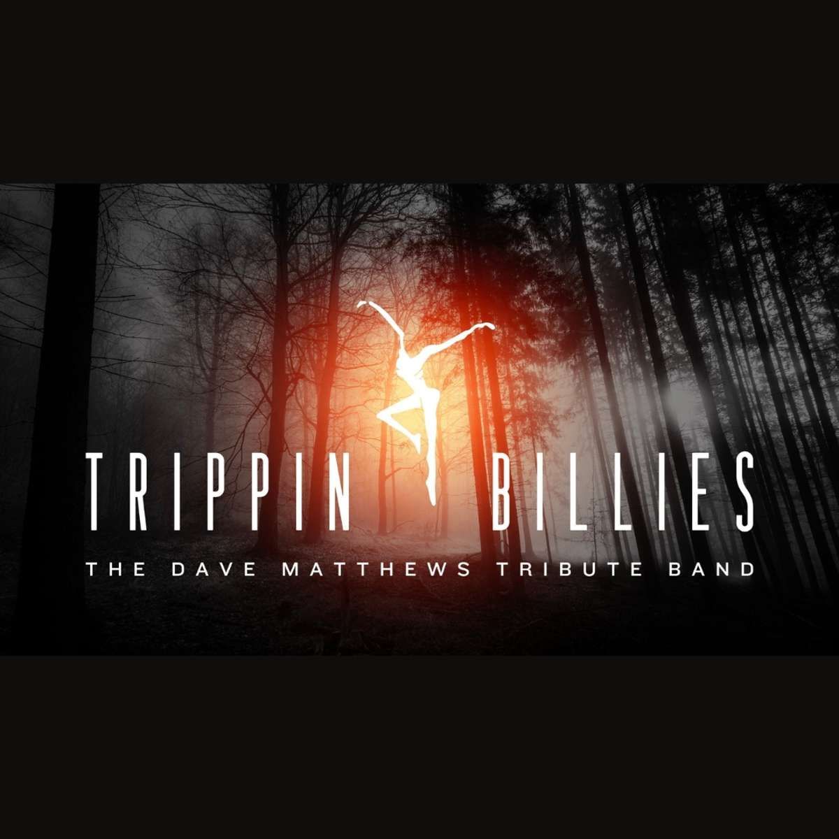 Trippin' Billies: The Dave Mathews Tribute Band