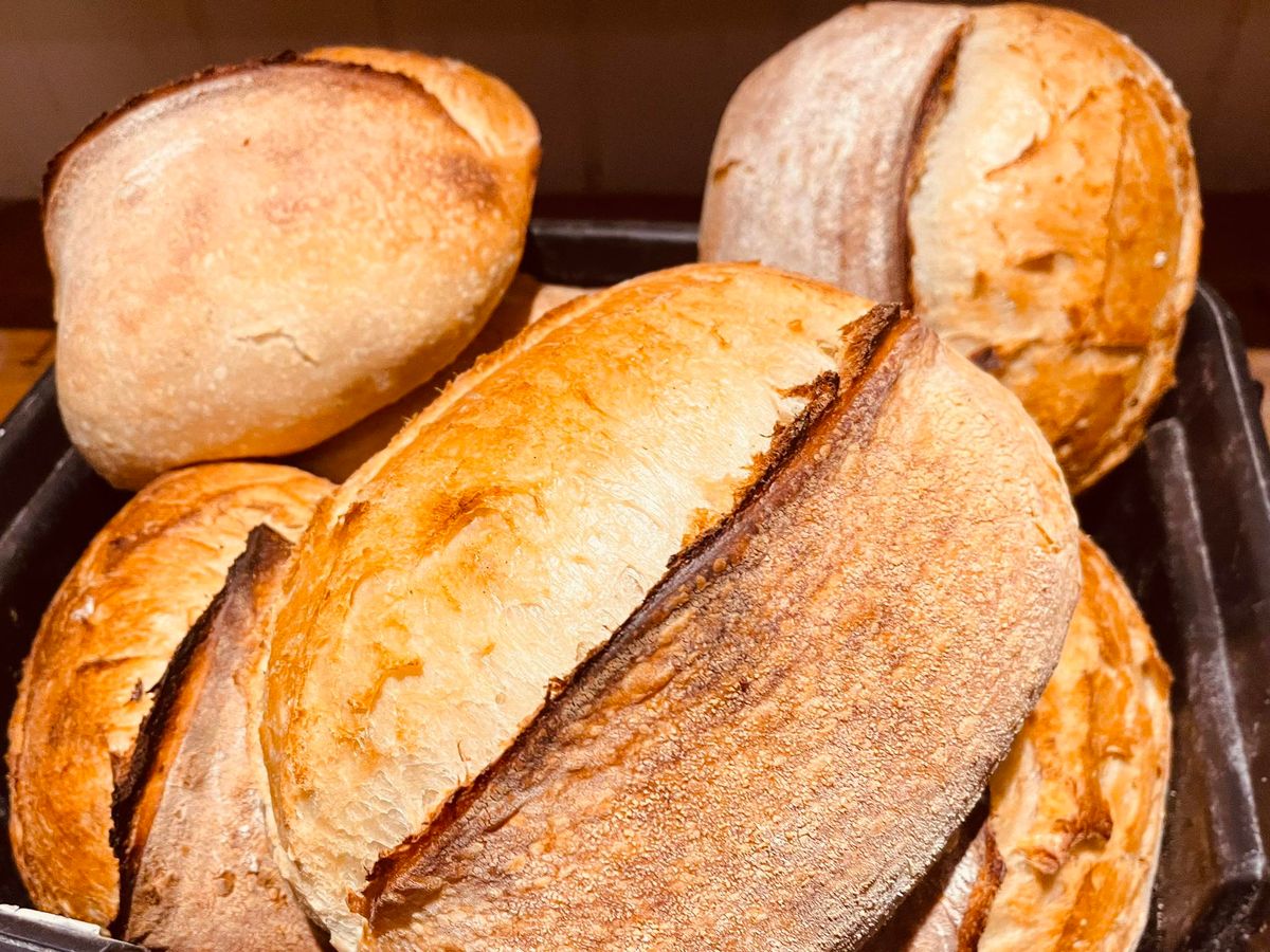 Sourdough Baking Class for Beginners