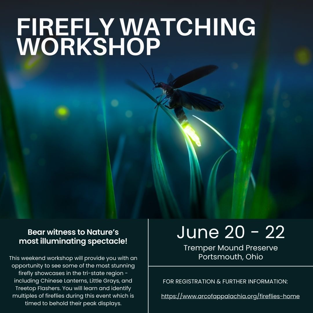 Firefly Watching Workshop