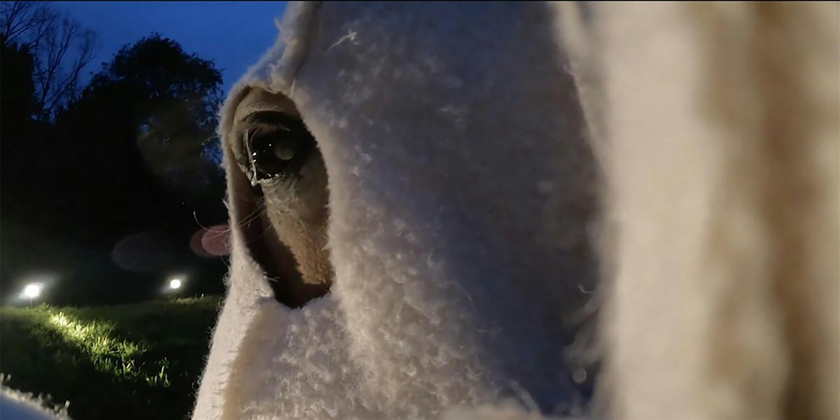 Pre-Remains *the movie*