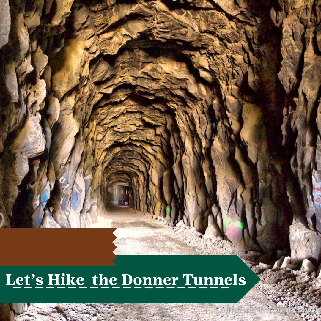 Family Hike- Donner Tunnels