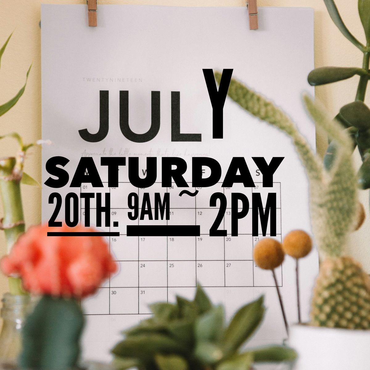 Saturday 20th July - Calwell Market 