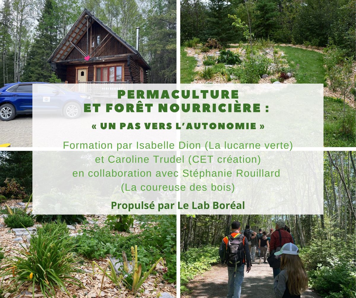 Permaculture et for\u00eat nourrici\u00e8re : \u00ab Un pas vers l\u2019autonomie \u00bb