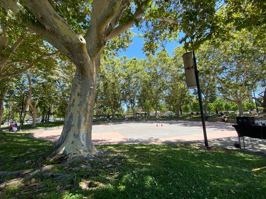 Free Music in the Park