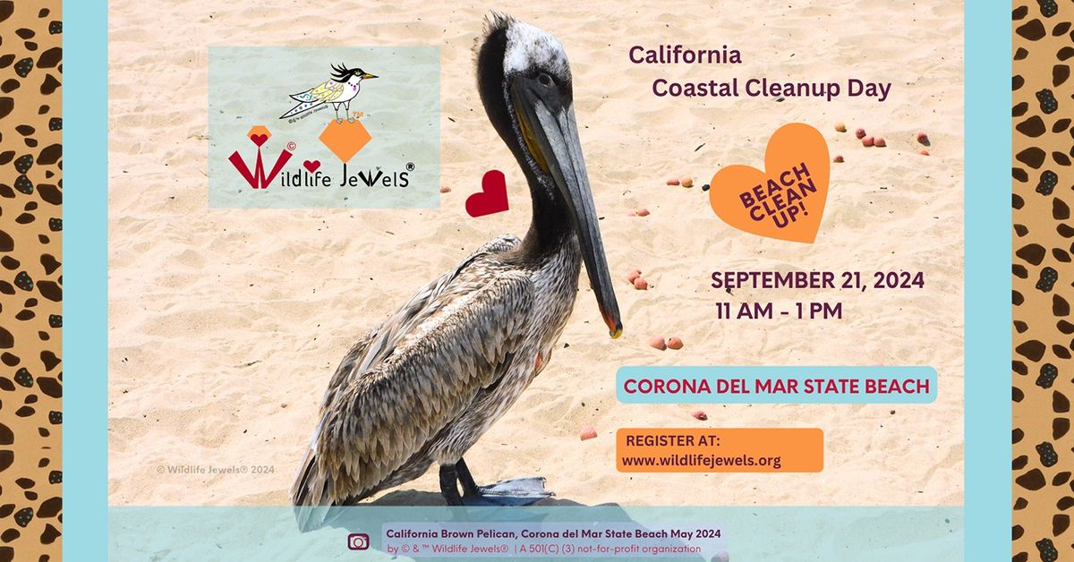 Wildlife Jewels Sweep & Learn for Wildlife Beach Cleanup Corona del Mar