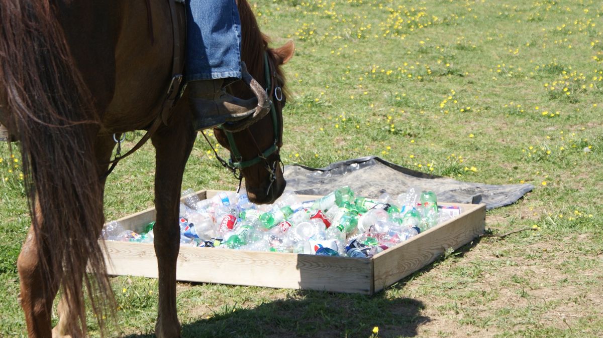 Obstacles and precision riding 