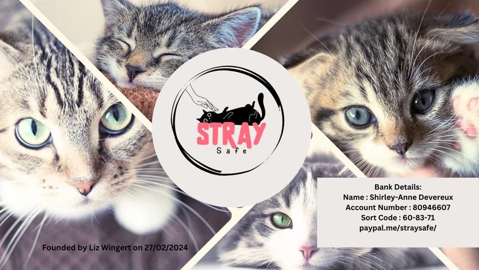 Stray safe fundraiser 