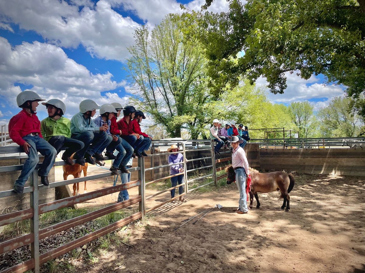 Guyra Christmas Camp