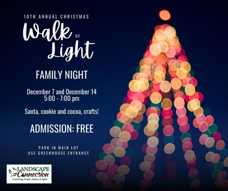 Walk of Light Family Night