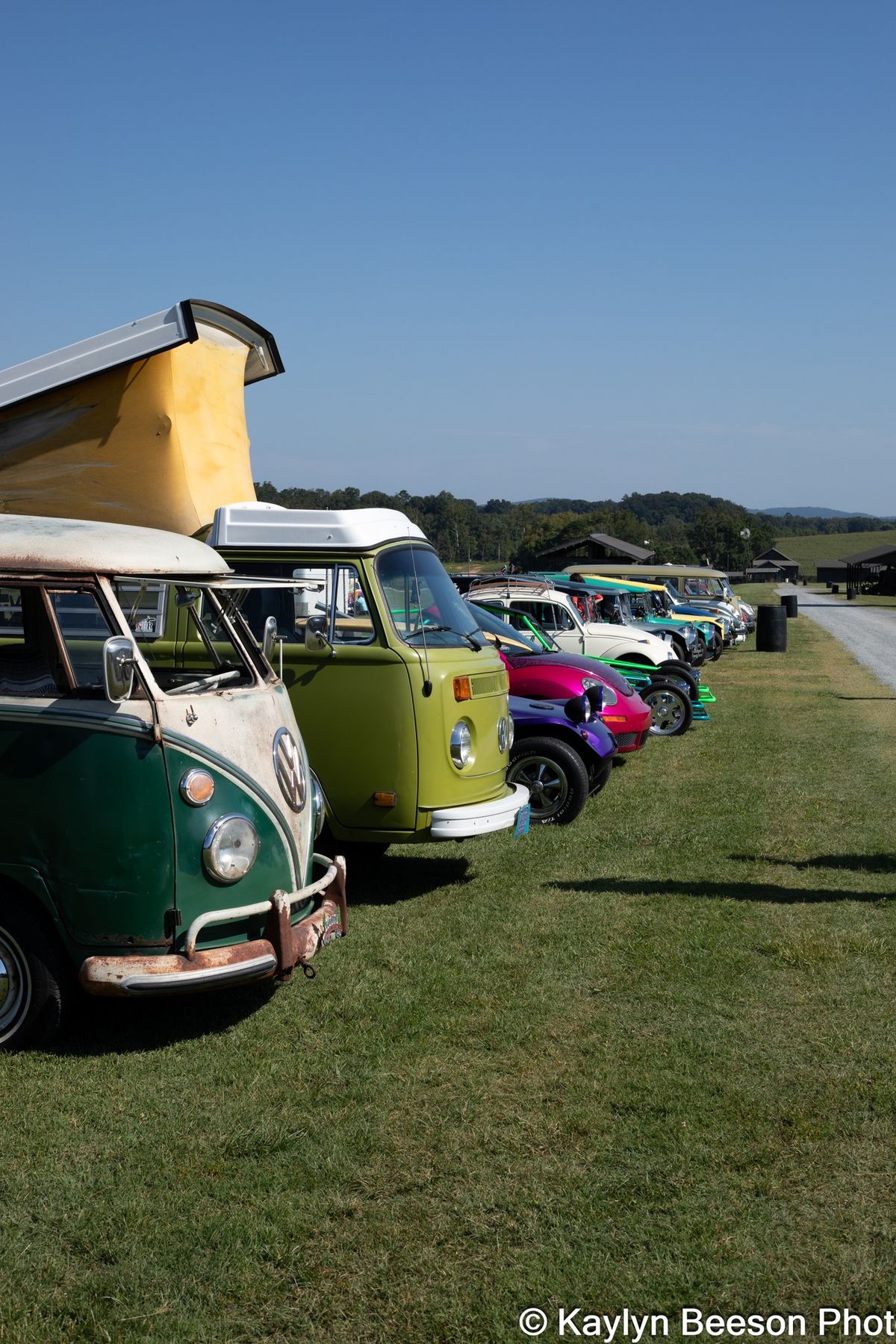 VW Bug'n at the FarmPark