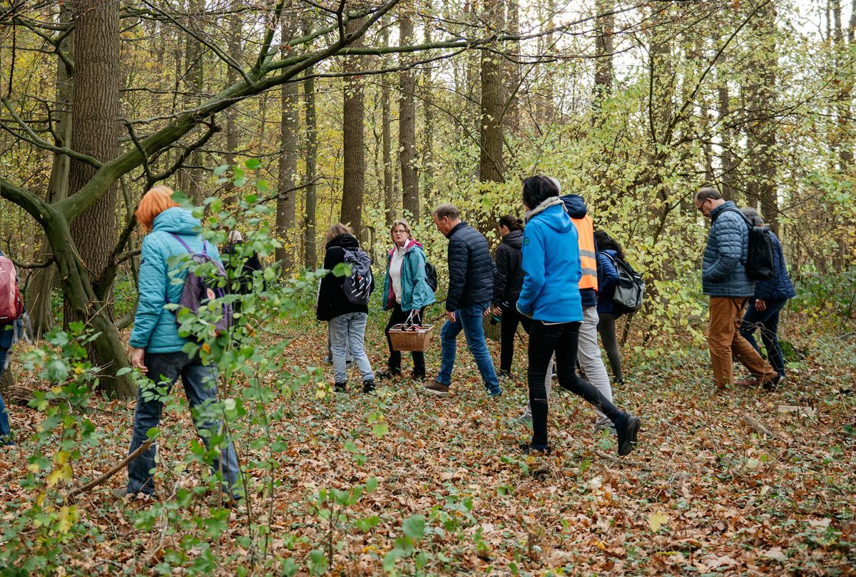 Winterpilzexkursion - Artenakademie startet mit Pilzsuche in das Jahr