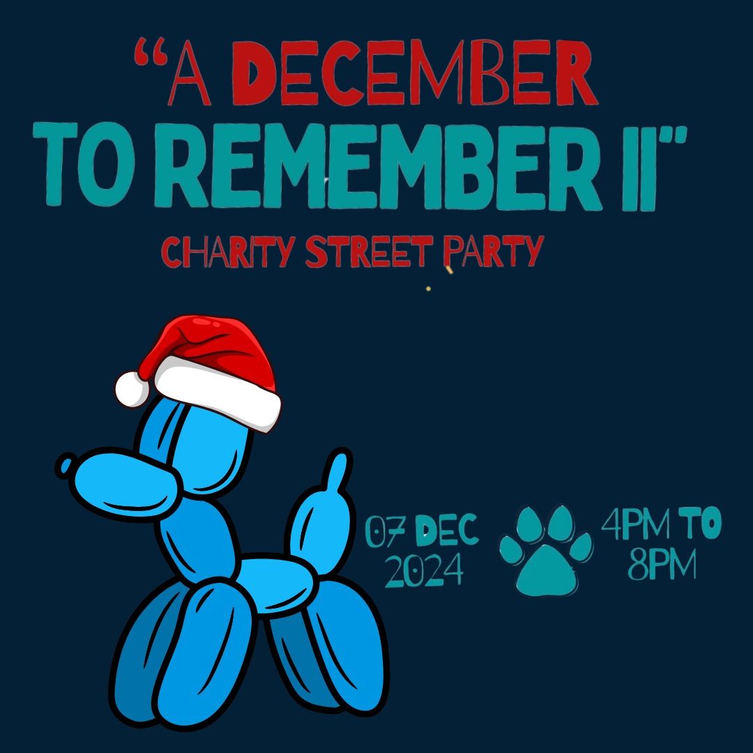 \u201cA December to Remember 2\u201d Charity Street Party