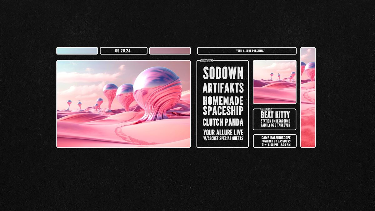 SoDown + Artifakts, Homemade Spaceship & Beat Kitty at The Purple Buffalo