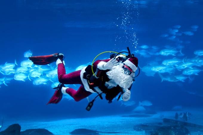 KW 13th Christmas Scuba Social