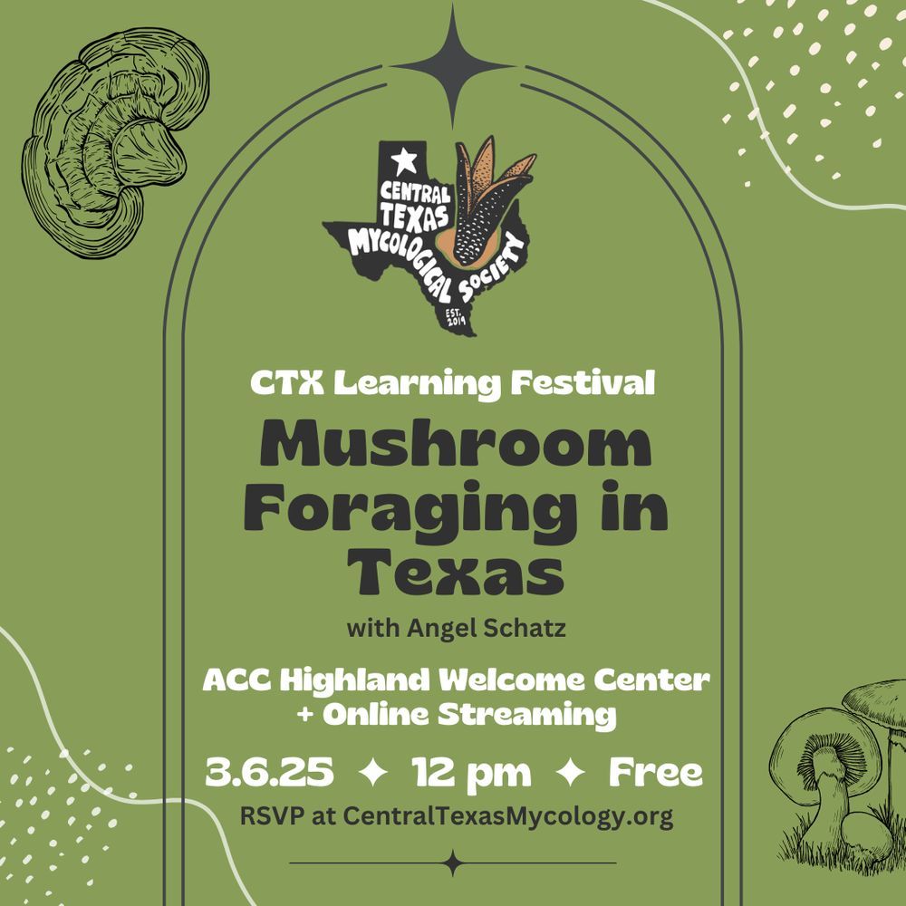 AUSTIN + ONLINE: Mushroom Foraging in Texas