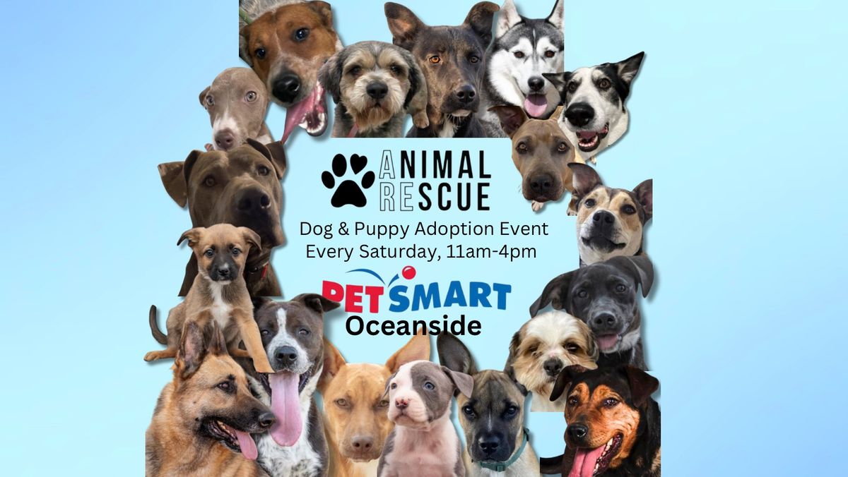 Dog & Puppy Adoption Event